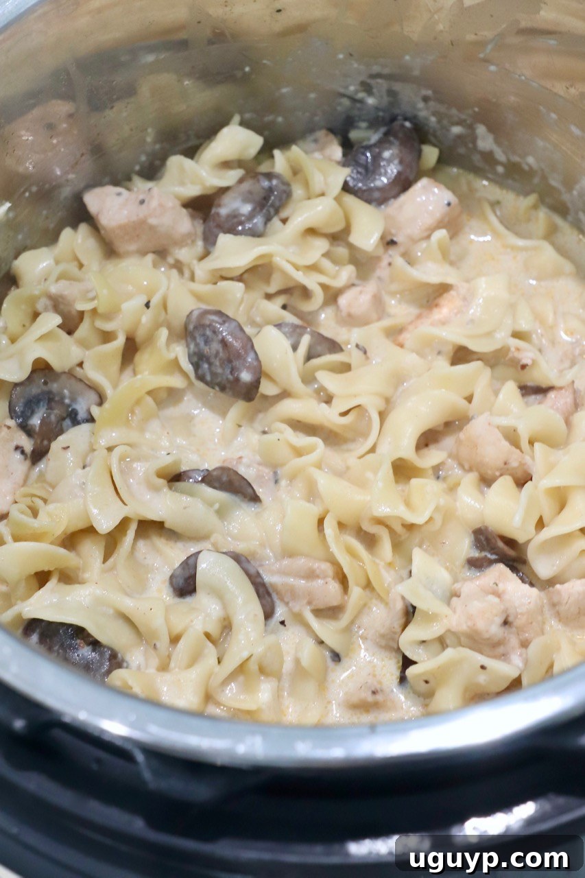 Cooked Instant Pot Chicken Stroganoff, stirred and ready to serve, glistening with creamy sauce.