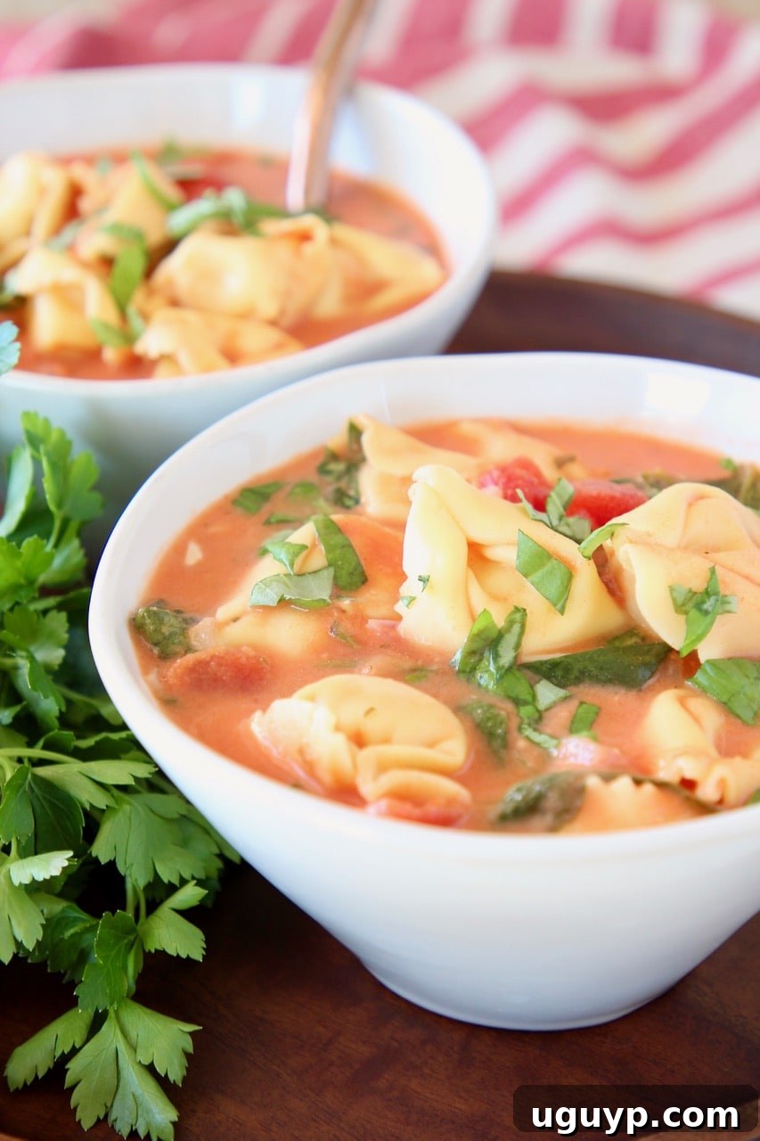 Creamy tomato tortellini soup in white bowl with fresh parsley and diced tomatoes, ready to be served.