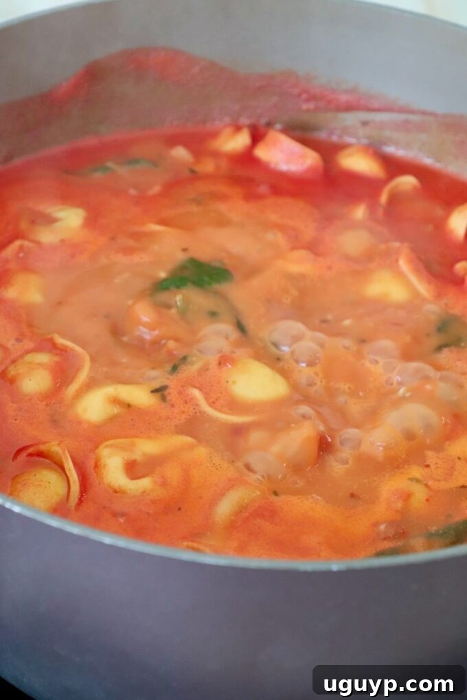 Cheese tortellini cooking in the simmering tomato soup, absorbing the rich flavors, in a pot on the stove.
