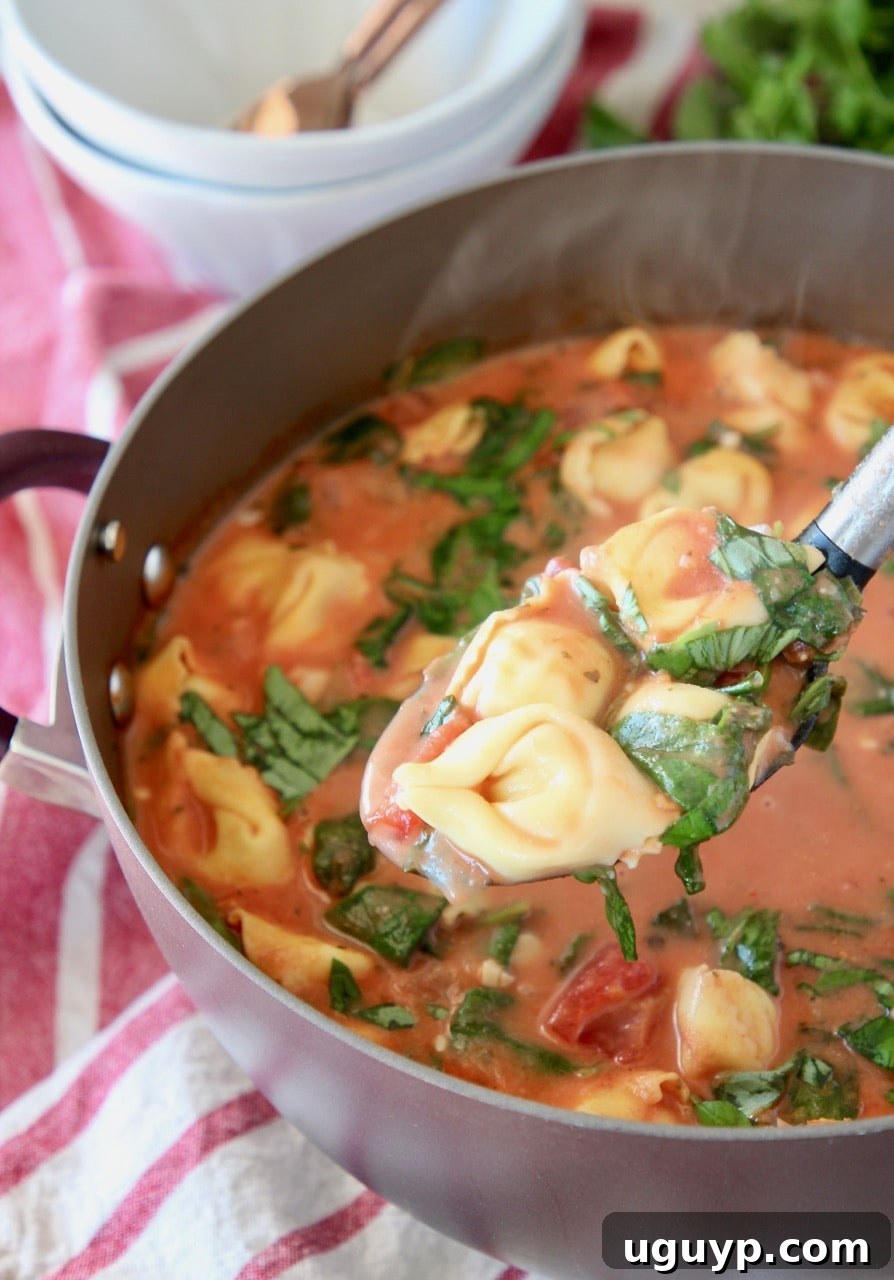 A spoonful of creamy tortellini soup being lifted from a large pot, showing the rich tomato base and cheese tortellini.