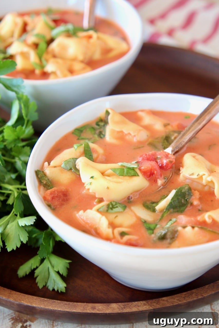 A bowl of vibrant tomato basil tortellini soup, featuring a copper spoon and fresh parsley on the side, inviting you to enjoy.