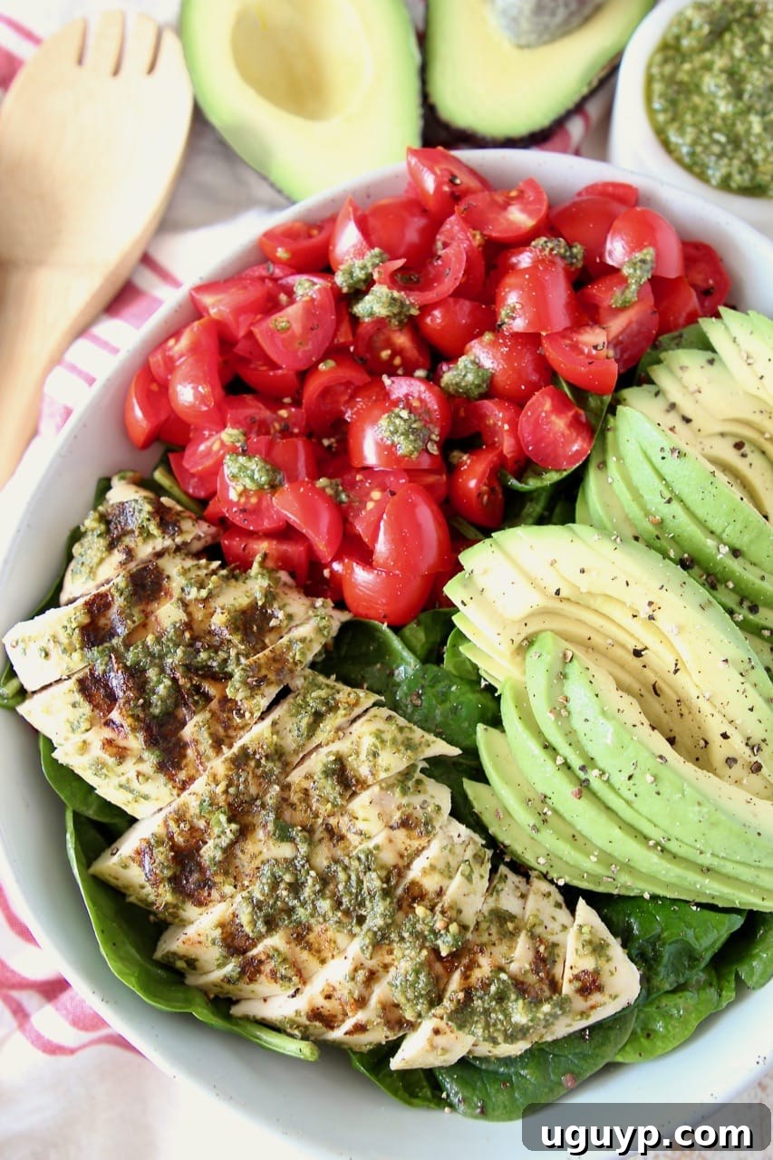 Sliced pesto chicken, sliced avocado and diced cherry tomatoes on top of spinach salad in bowl