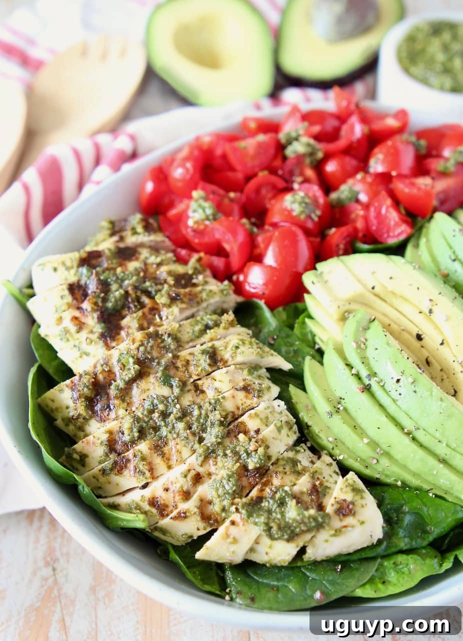 Sliced pesto chicken, avocado and tomatoes on top of a spinach salad in a bowl