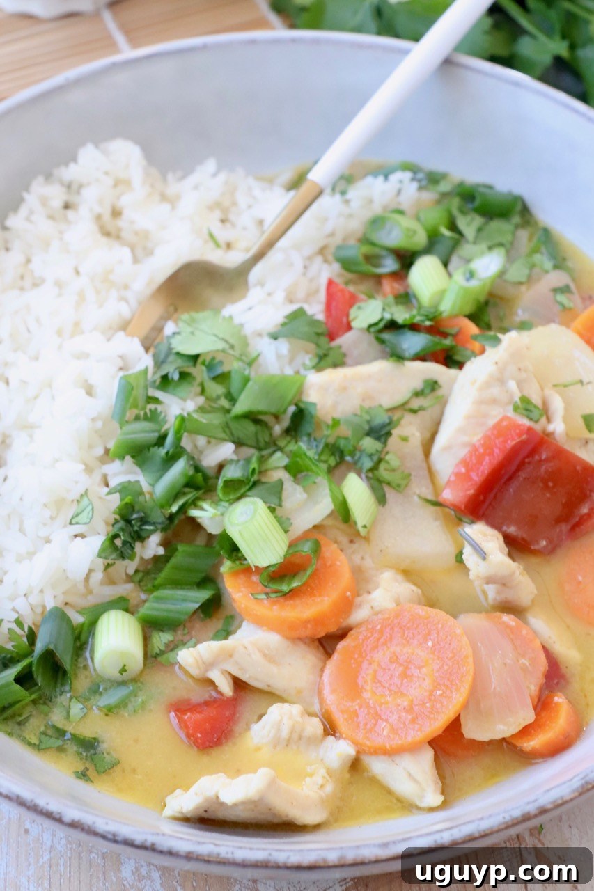 A beautifully plated serving of yellow chicken curry with steamed vegetables and jasmine rice in a rustic bowl.