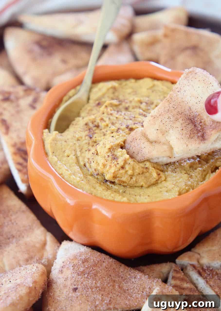 Creamy Pumpkin Hummus in an orange bowl, with a cinnamon sugar pita chip being dipped into it