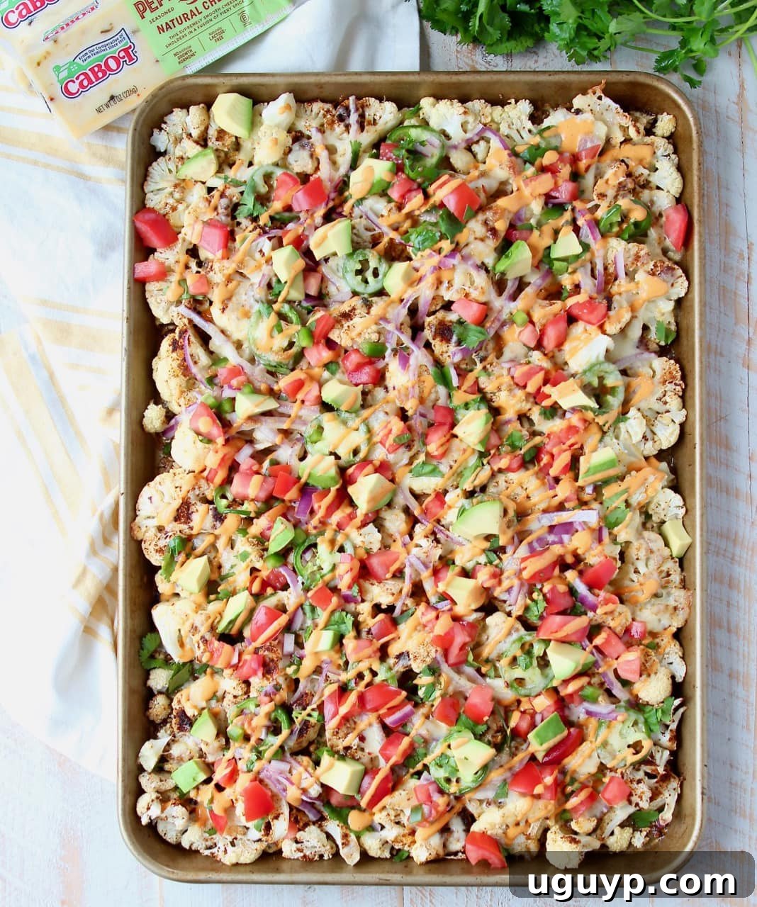 Overhead shot of cauliflower nachos on sheet pan with fresh cilantro and sliced jalapenos