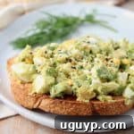 Avocado Egg Salad on toasted sourdough with everything bagel seasoning and fresh dill.