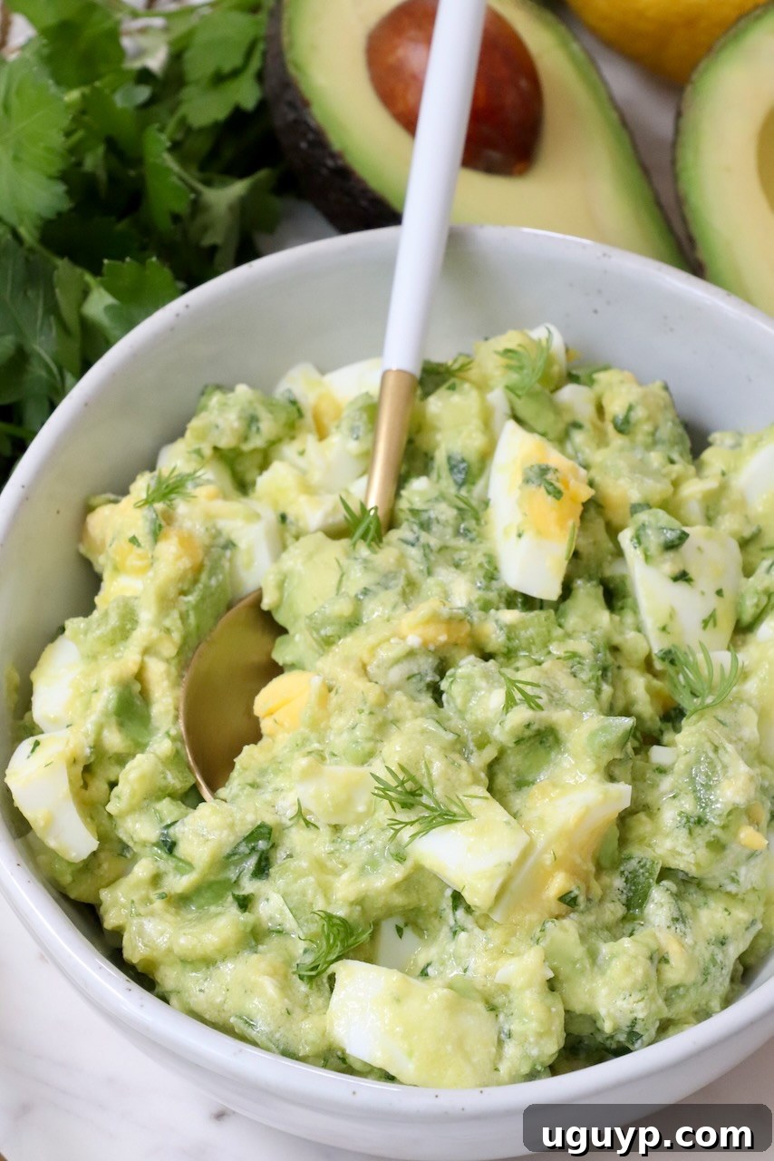 A bowl of creamy, fresh avocado egg salad with a spoon, garnished with fresh dill, ready to be served.