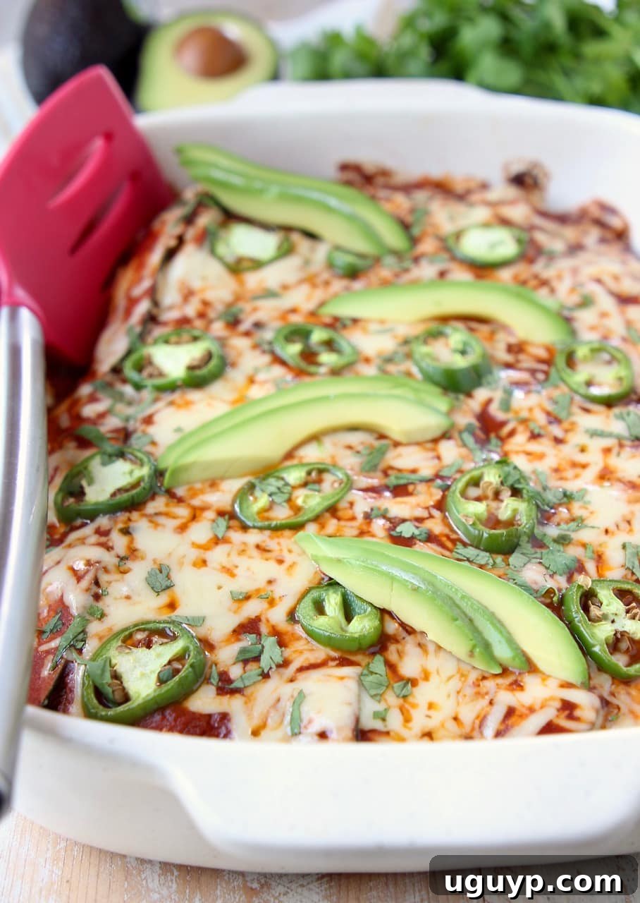Enchiladas in baking dish with red spatula on the side of the dish, ready for serving.