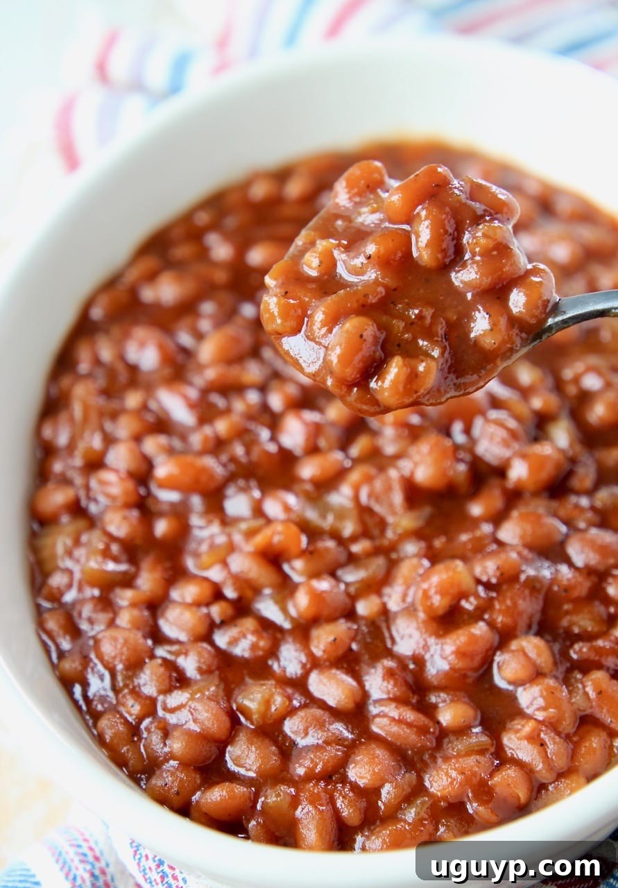 A serving bowl filled with savory BBQ baked beans, with a spoonful of beans being lifted, showcasing their rich texture and perfect sauciness.