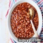 Baked beans in oval bowl with serving spoon in the bowl