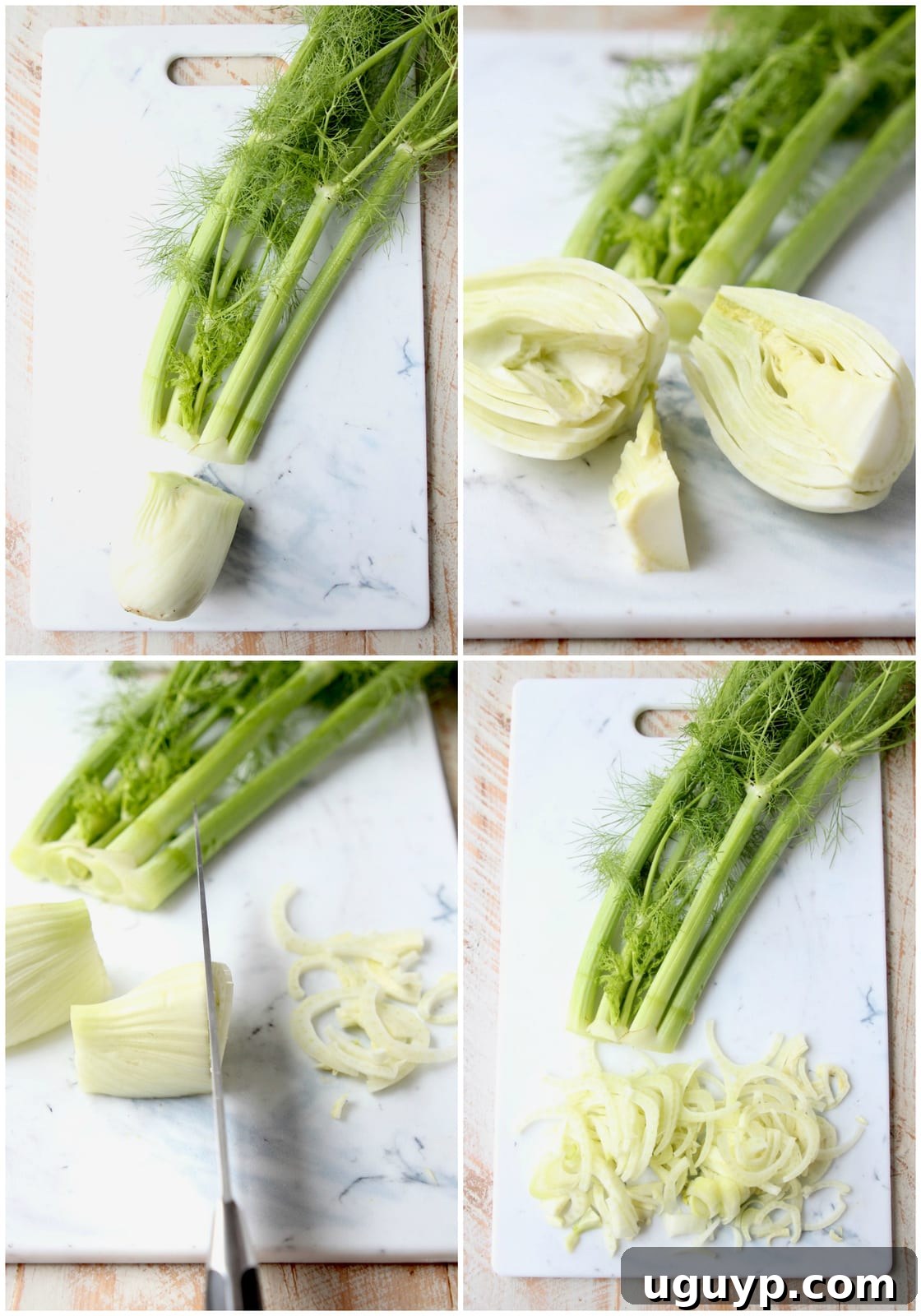 A step-by-step photographic guide demonstrating how to properly chop a fennel bulb, separating the fronds, stalks, and preparing the bulb for cooking.
