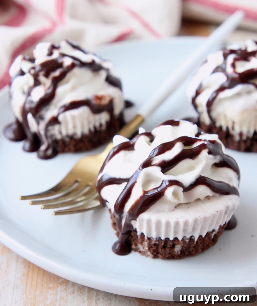 A stunning close-up of a mini chocolate ice cream cake, elegantly topped with a generous swirl of chocolate syrup, ready to be enjoyed.