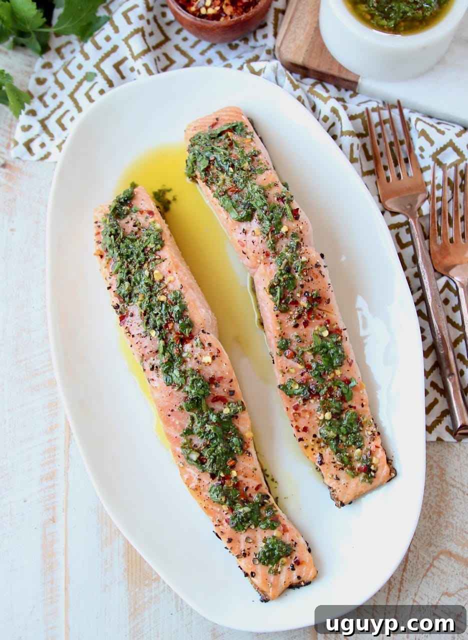 Overhead shot of two salmon filets on a plate topped with chimichurri sauce