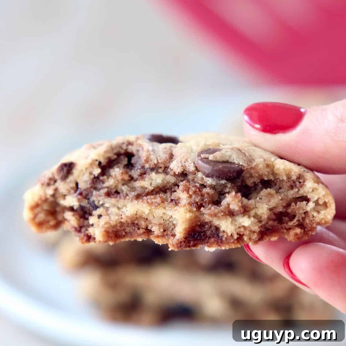 Close-up of a hand holding half of a Nutella chocolate chip cookie, revealing the warm, gooey chocolate chips and distinct Nutella swirls inside, against a blurred background.