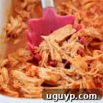 Shredded buffalo chicken with a red serving spoon, highlighting the saucy texture.