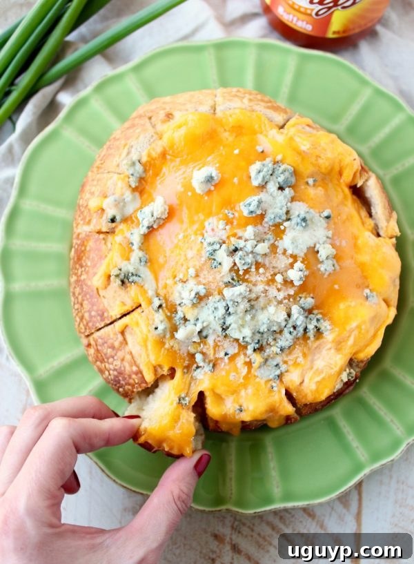 A bread bowl filled with buffalo chicken dip, baked until golden and bubbly, surrounded by toasted bread pieces for dipping.