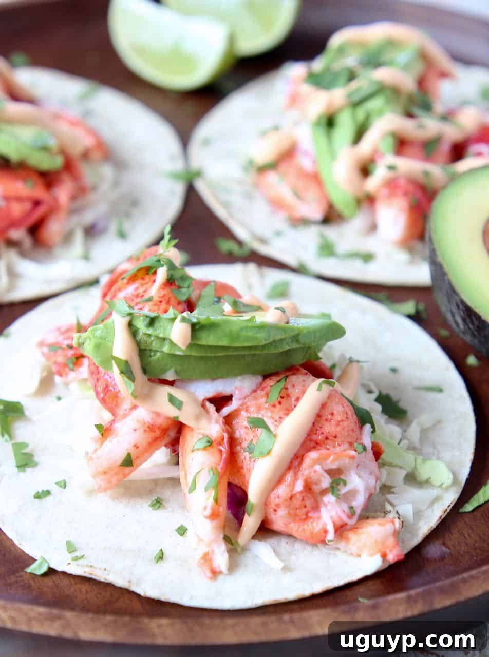 Close-up of a perfectly assembled lobster taco, showcasing the vibrant colors of the lobster meat, avocado slices, cabbage slaw, and a drizzle of remoulade sauce.