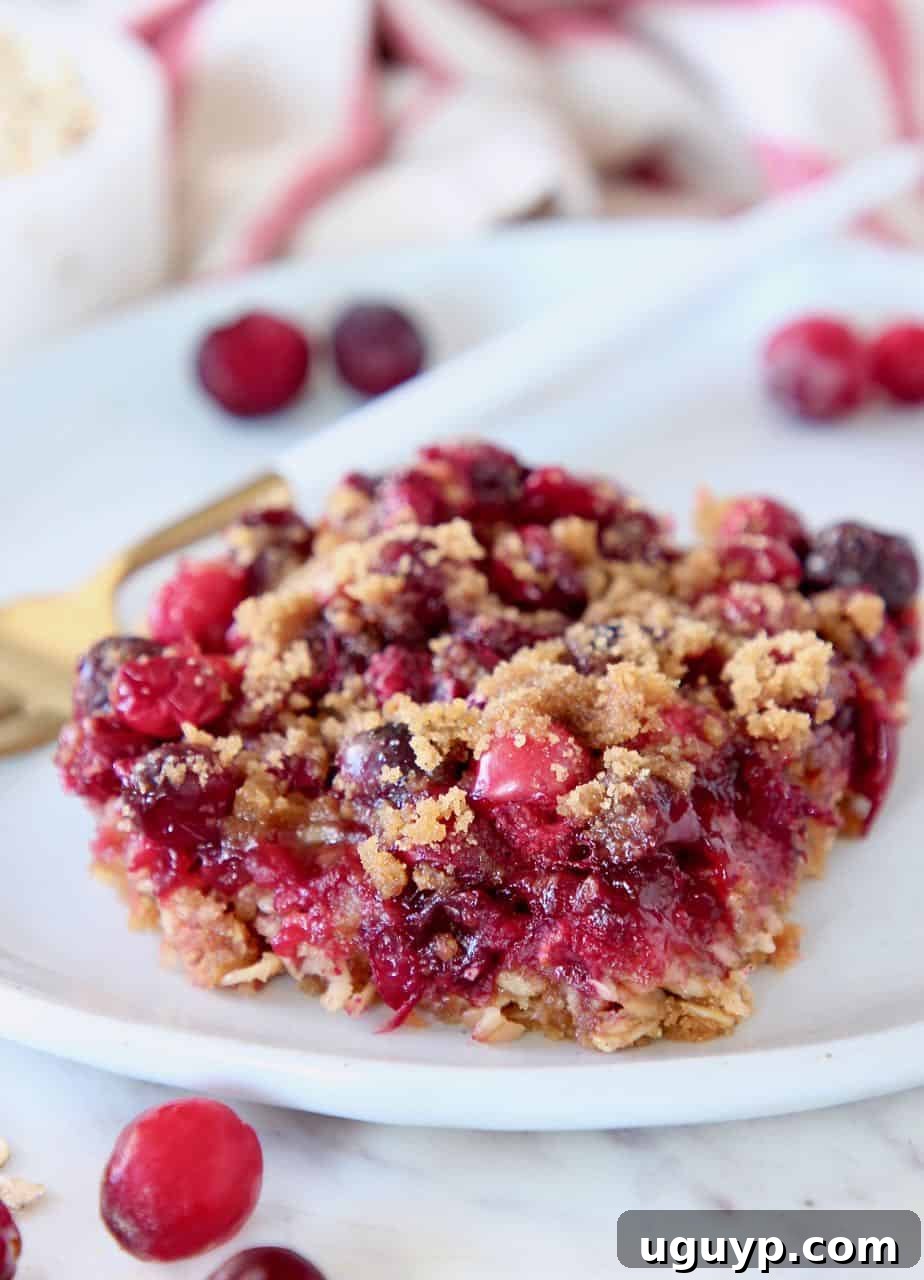 Single Oatmeal Cranberry Bar on a white plate with a fork and scattered fresh cranberries.
