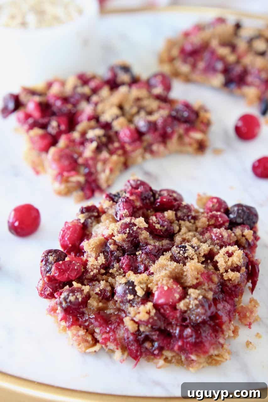 Oatmeal cranberry bars arranged on a marble serving tray, garnished with fresh cranberries.