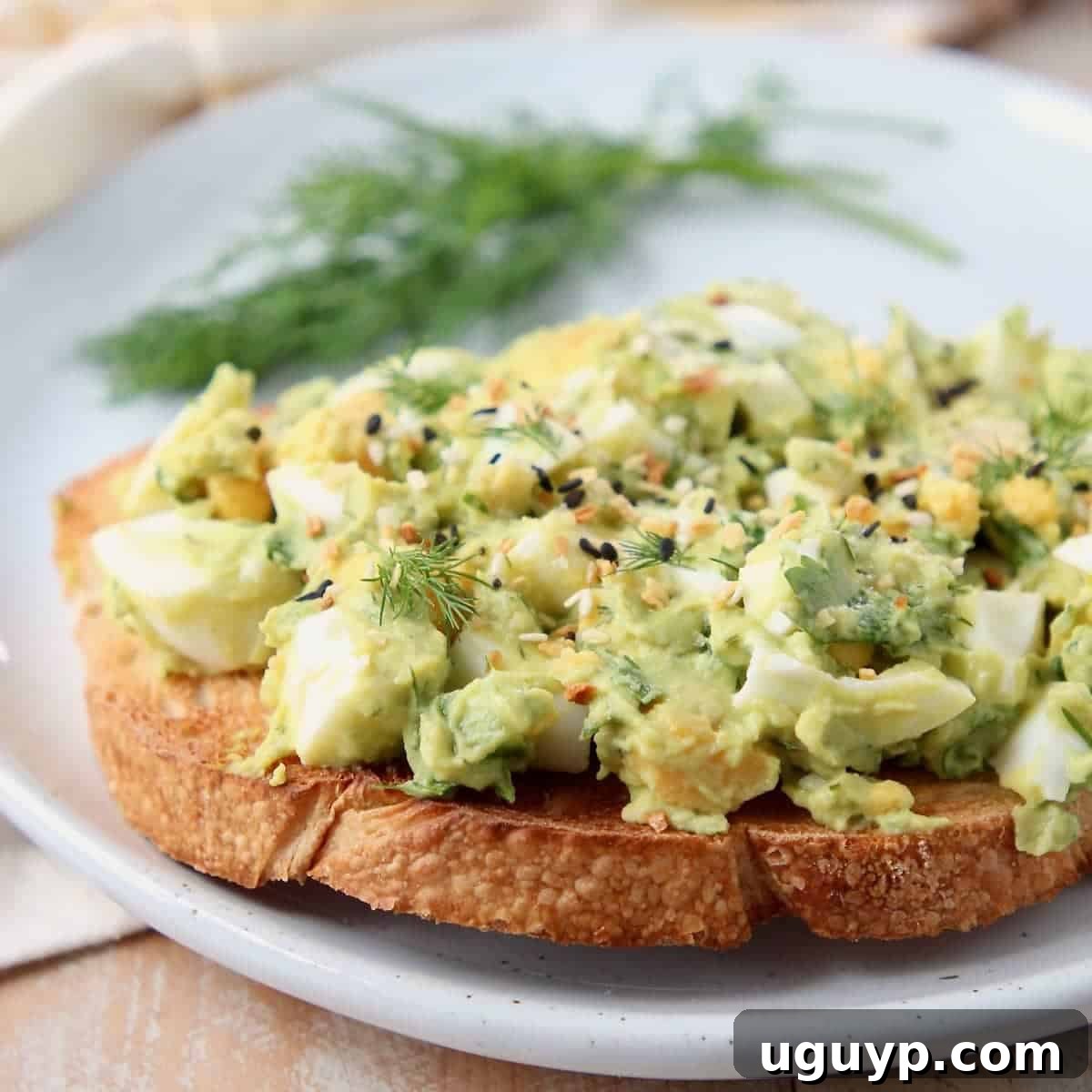 Egg salad on toast topped with everything bagel seasoning and fresh dill. Avocado Egg Salad is a fresh, healthy, and mayo-free recipe filled with creamy avocado, herbs, bell peppers, and lemon juice, delicious on toast or in lettuce wraps.