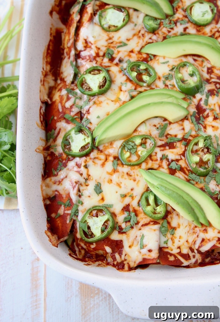 Overhead shot of enchiladas covered in red sauce and cheese in baking dish topped with avocado and jalapenos. Thin zucchini slices replace tortillas in these easy Low Carb Enchiladas, filled with taco-seasoned ground beef, pepper jack cheese, and smothered in a delicious red sauce, perfect for gluten-free and keto diets.