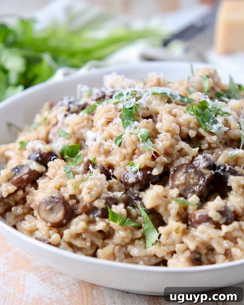 Instant pot mushroom risotto in bowl with fresh parsley and parmesan cheese. The BEST Instant Pot Mushroom Risotto recipe is incredibly easy to make, packed with flavor from mushrooms, garlic, French onion dip mix, and parmesan cheese.