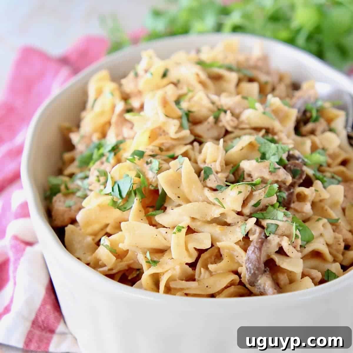 Chicken stroganoff with egg noodles in oval casserole dish with fresh parsley. This Easy Instant Pot Chicken Stroganoff recipe features tender chicken breasts and a creamy, rich sauce, all made quickly for a comforting meal.