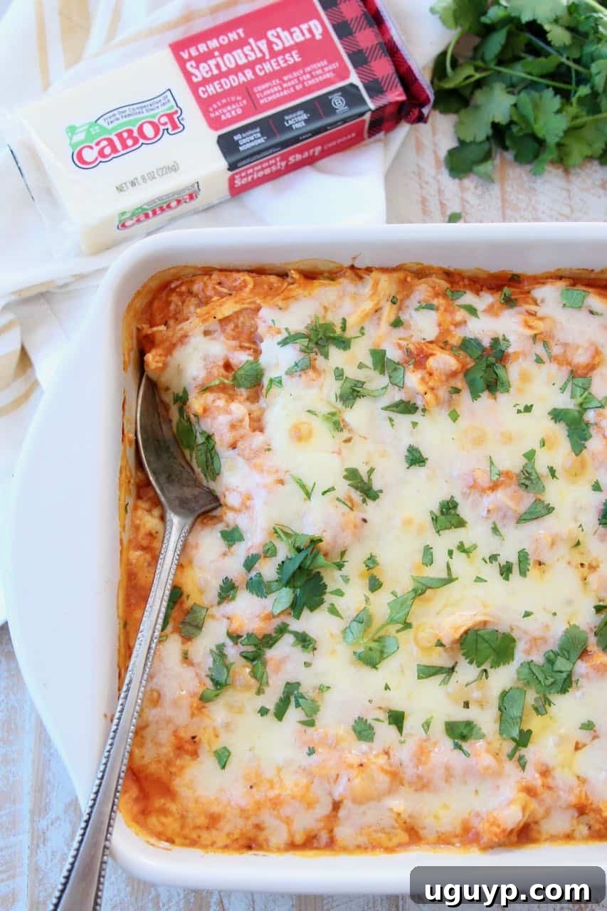 A vibrant Buffalo Chicken Cauliflower Casserole, generously covered in melted cheddar cheese and freshly chopped cilantro, ready to be served.