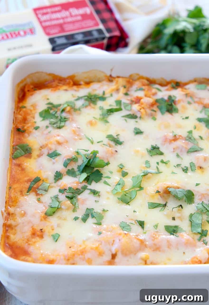 A hot, cheesy Buffalo Chicken Cauliflower Casserole fresh out of the oven, garnished with vibrant fresh cilantro, in a rustic baking dish.