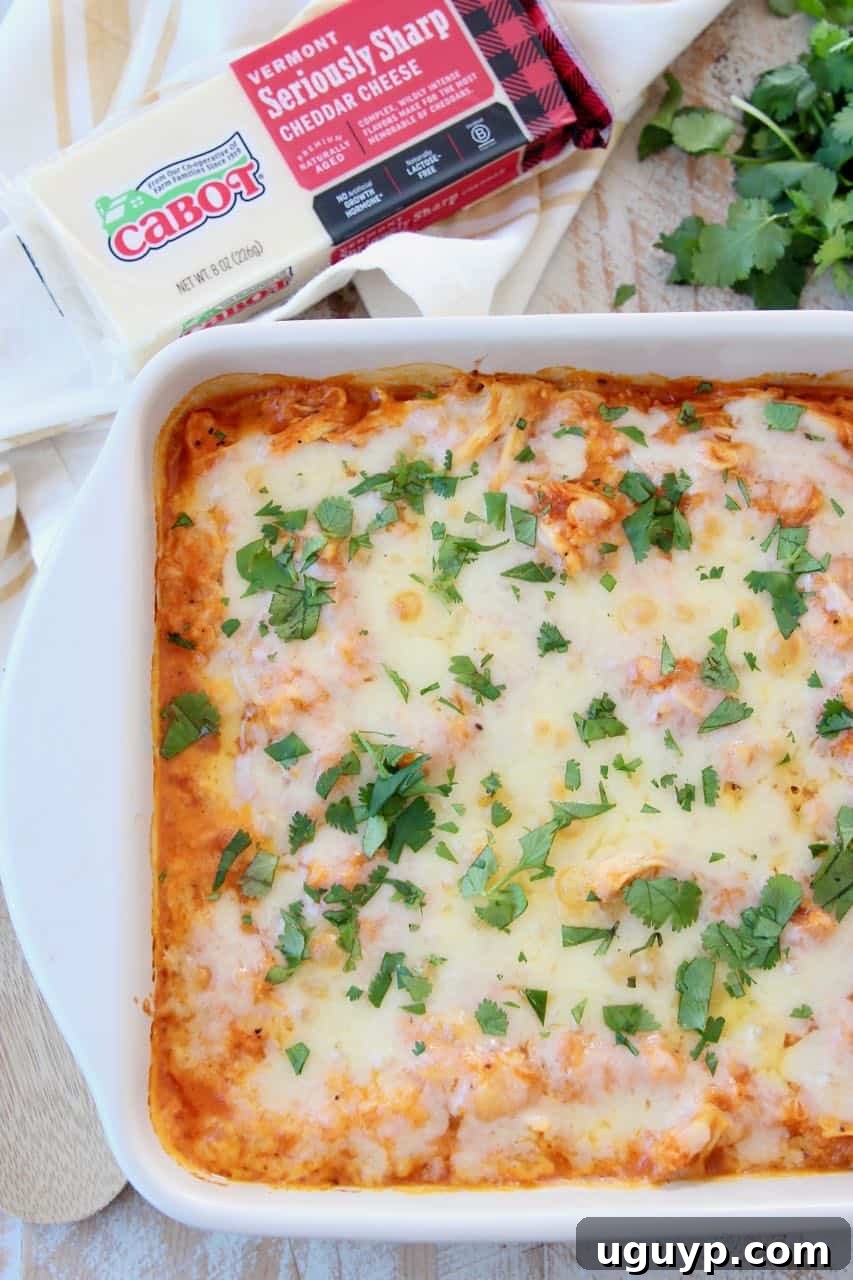 A delightful Buffalo Chicken Cauliflower Casserole, generously topped with golden-brown melted cheese and fresh green cilantro, presented in a baking dish.