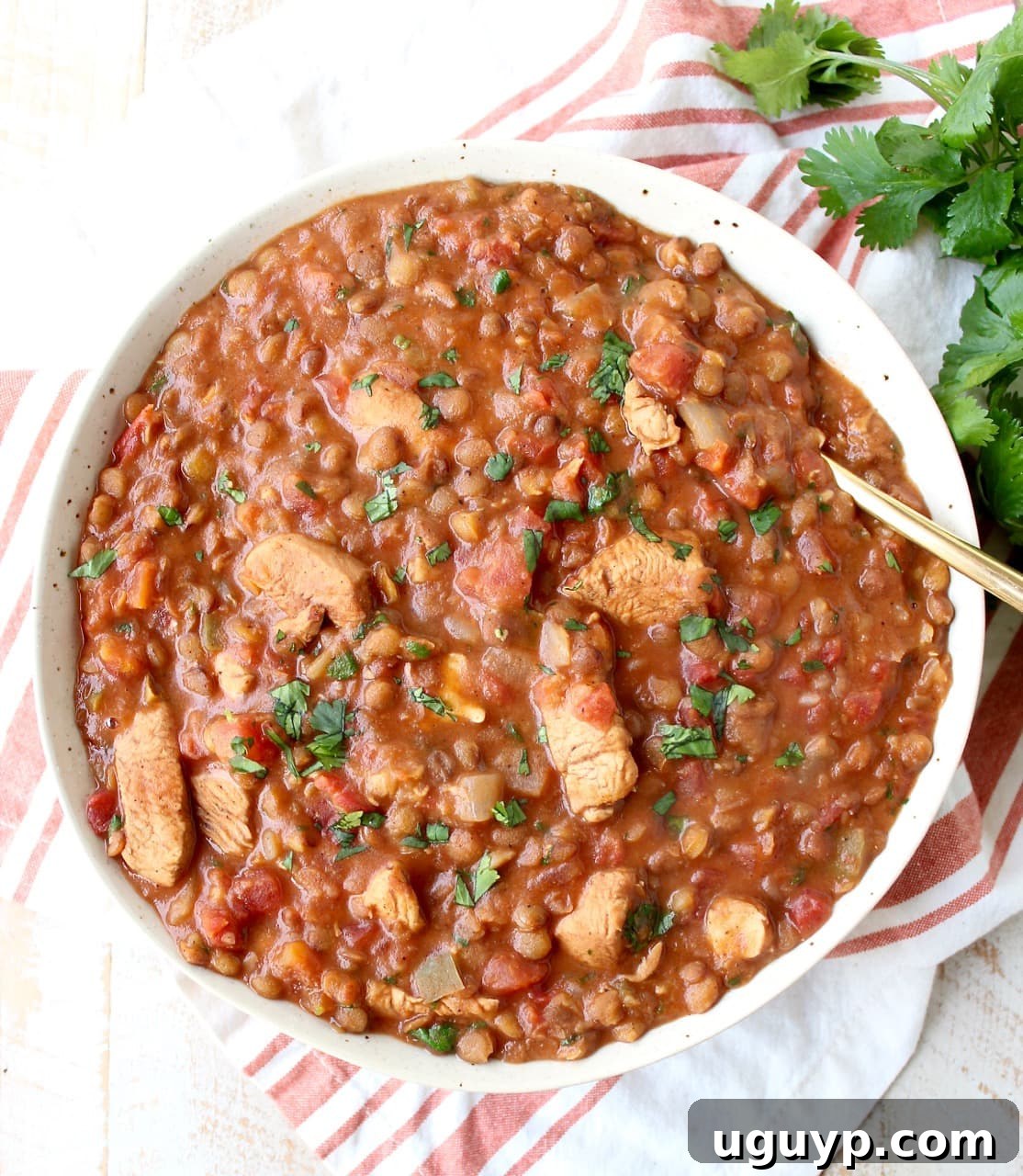 A hearty serving of Chicken Tikka Masala and lentils, expertly cooked together in an Instant Pot, presented as an easy, gluten-free weeknight meal ready in under an hour.