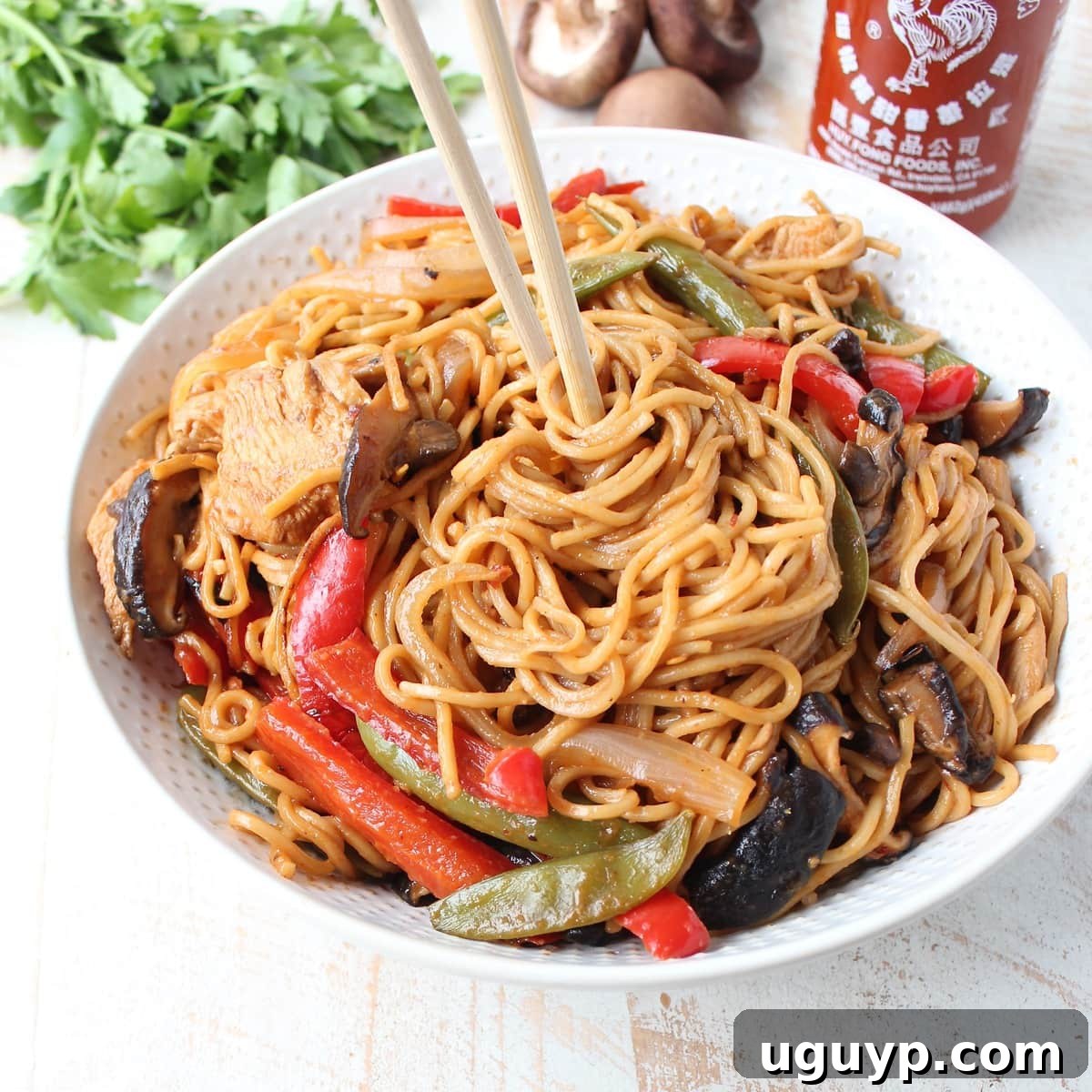 A savory and simple Chicken Lo Mein Recipe, perfect for a quick homemade meal.
