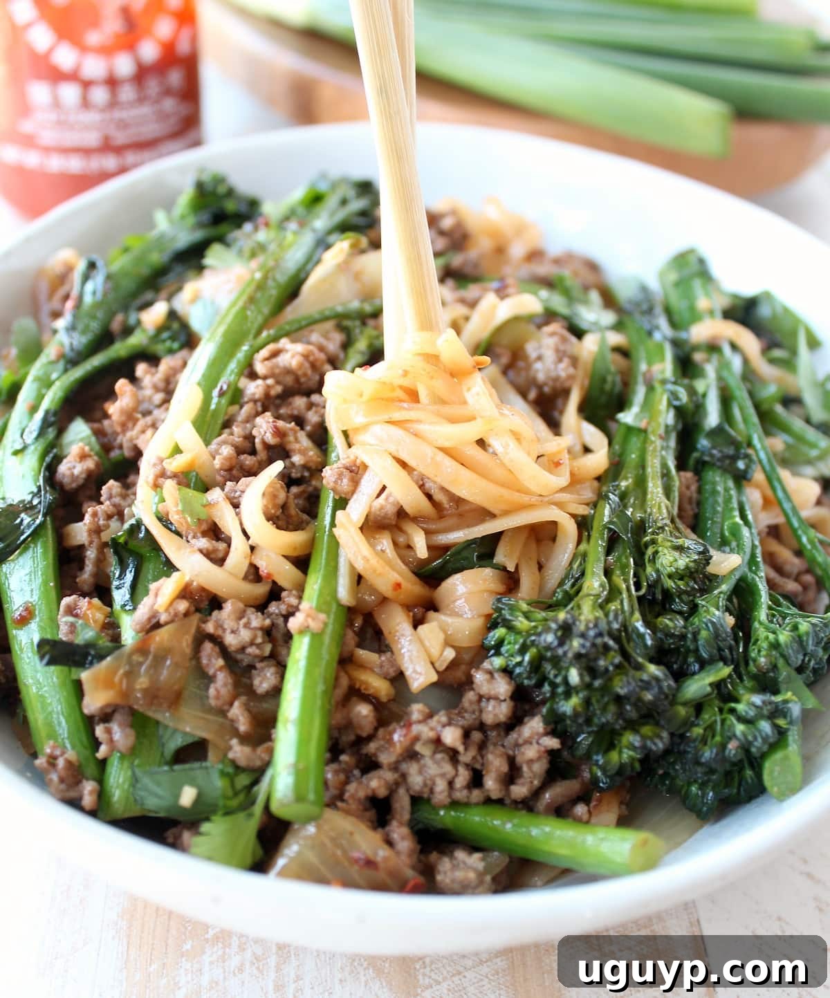 A delightful Beef and Broccoli Stir Fry Recipe, ready in minutes.