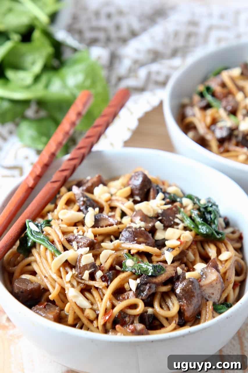 A beautifully presented bowl of homemade Vegetarian Dan Dan Noodles with chopsticks resting beside it, garnished with fresh greens and peanuts.