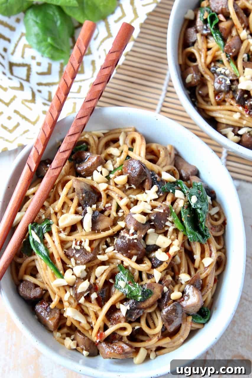 An enticing overhead shot of a bowl of Dan Dan Noodles with chopsticks, highlighting the creamy sauce and vibrant toppings.