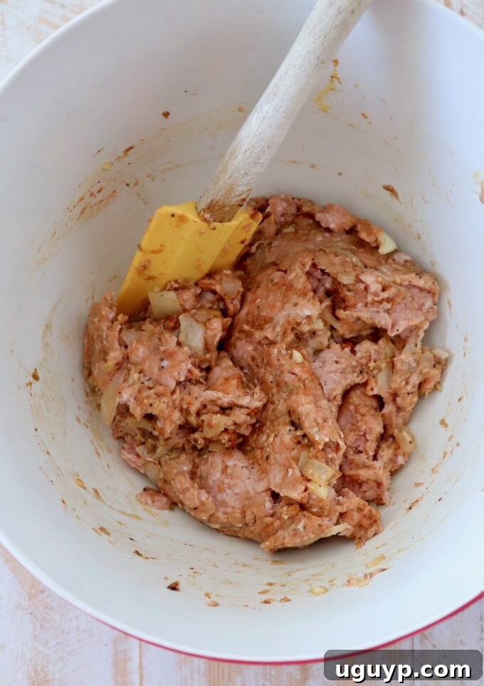 Ground turkey mixed with spices, breadcrumbs, and egg in a large mixing bowl
