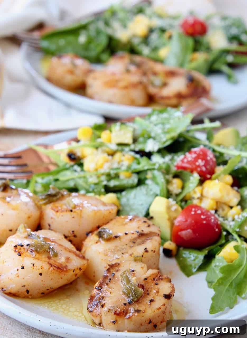 Perfectly grilled scallops on a white plate, served alongside a vibrant arugula and corn salad. The scallops are golden brown with distinct grill marks.
