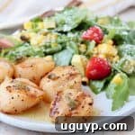 Grilled scallops on plate with arugula salad