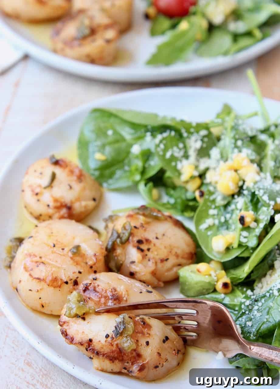 A close-up shot of a grilled scallop on a plate, being gently sliced with a fork to reveal its tender, perfectly cooked interior.