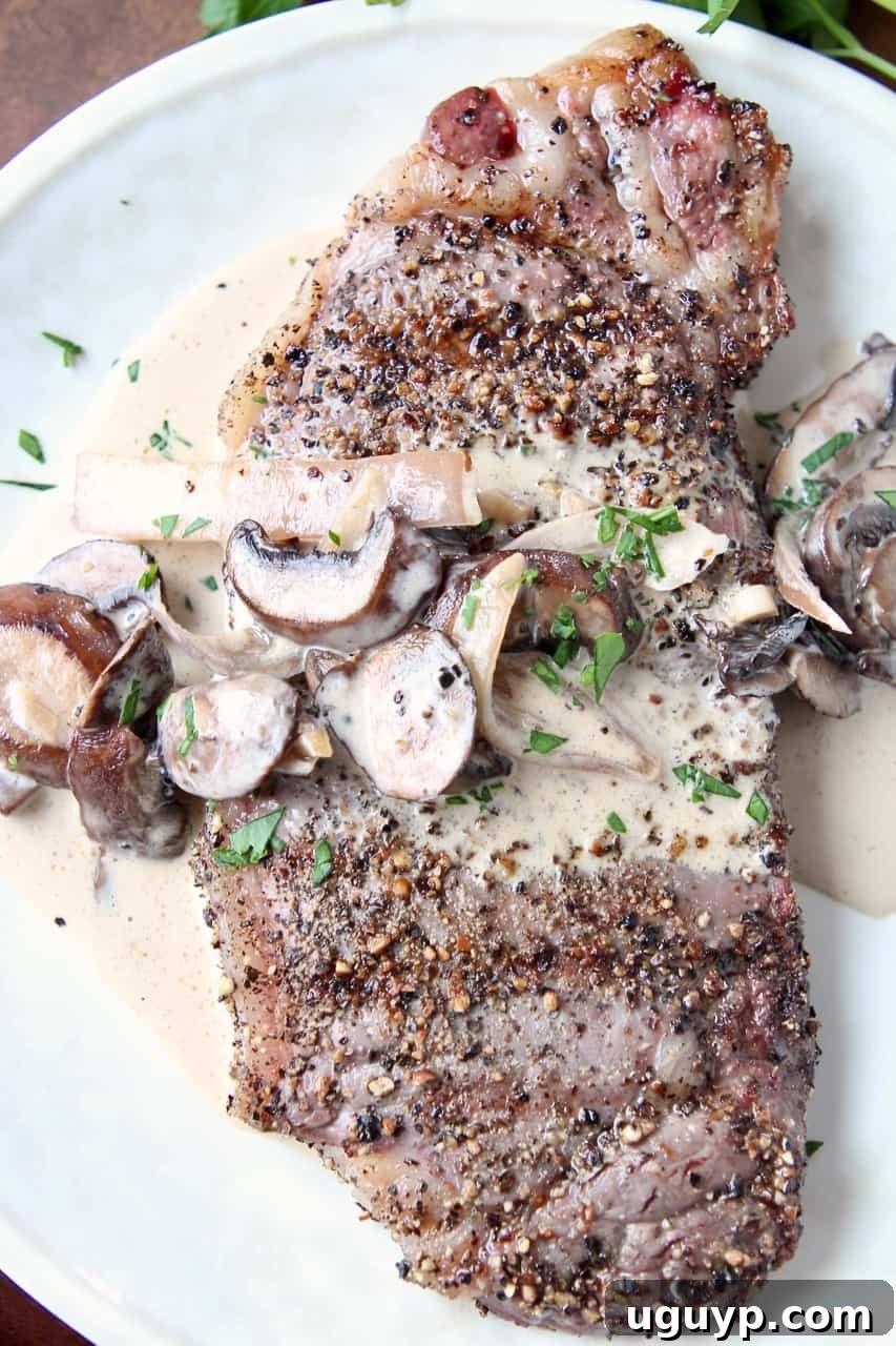 Overhead view of a beautifully grilled peppercorn steak on a plate, generously covered with creamy mushroom sauce, showcasing the rich texture.
