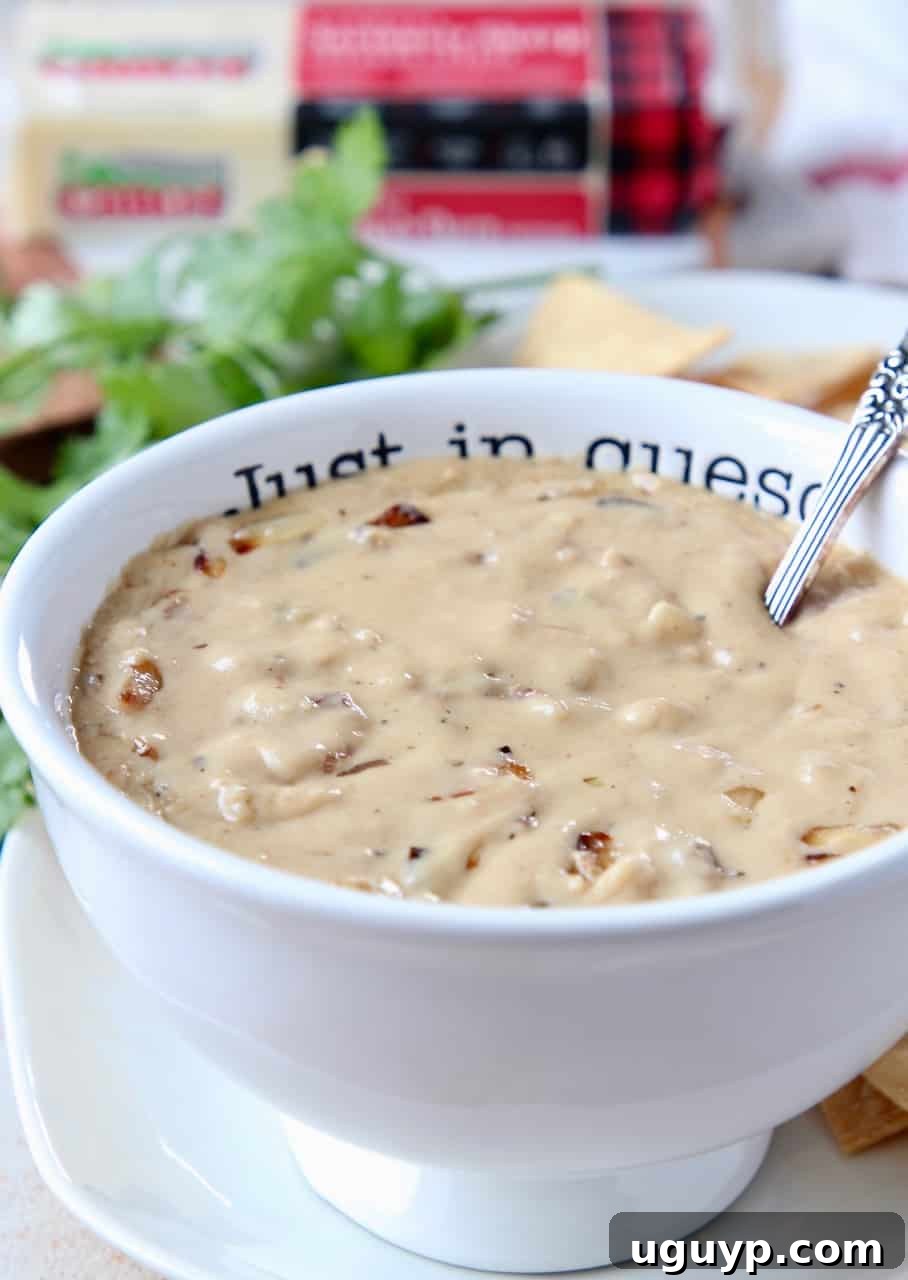 Queso dip in bowl with spoon