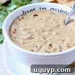 French onion dip queso in bowl with spoon