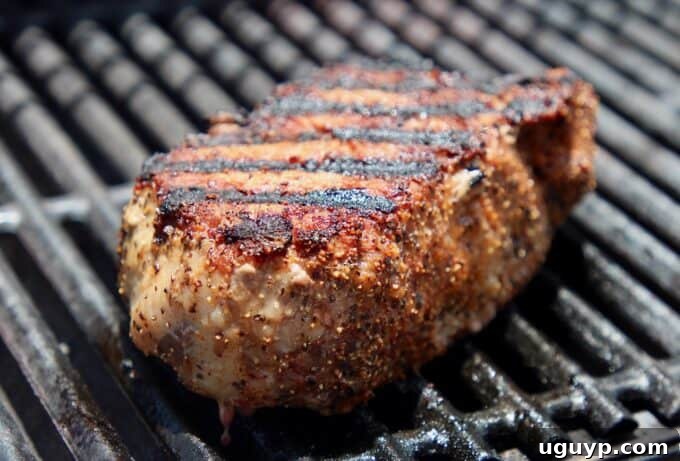 perfectly grilled steak with visible sear marks