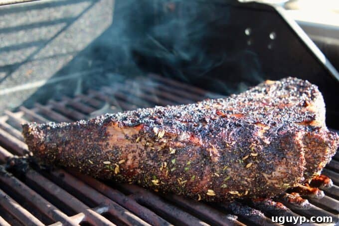Tri tip steak expertly grilled with a beautiful crust