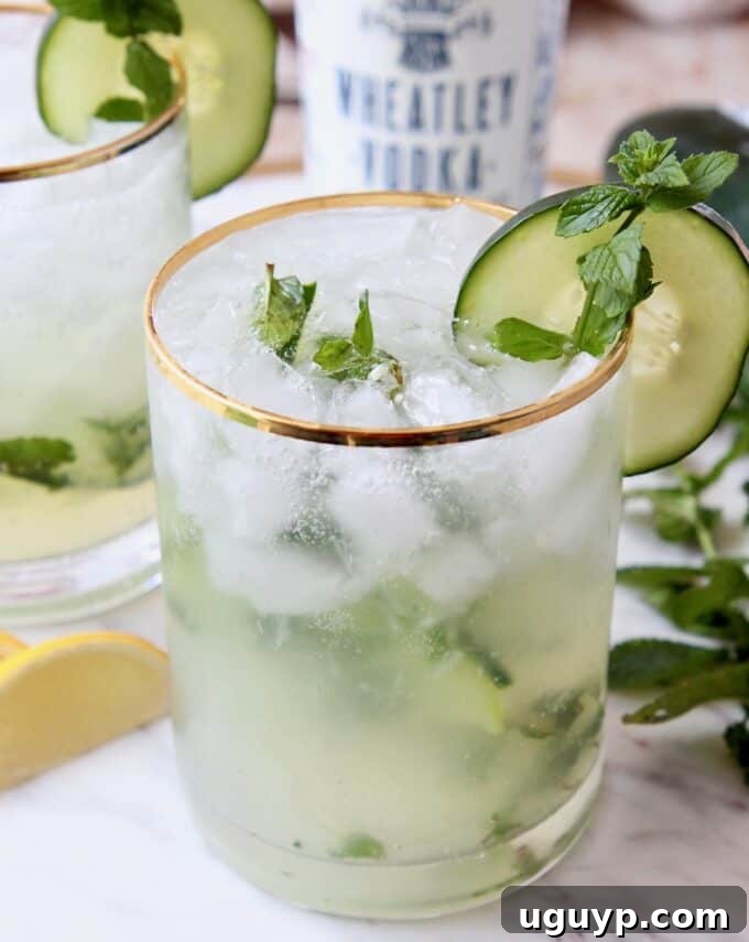 Close-up of a refreshing Cucumber Mint Vodka Cocktail garnished with a fresh mint sprig and a thin slice of cucumber, perfect for summer.