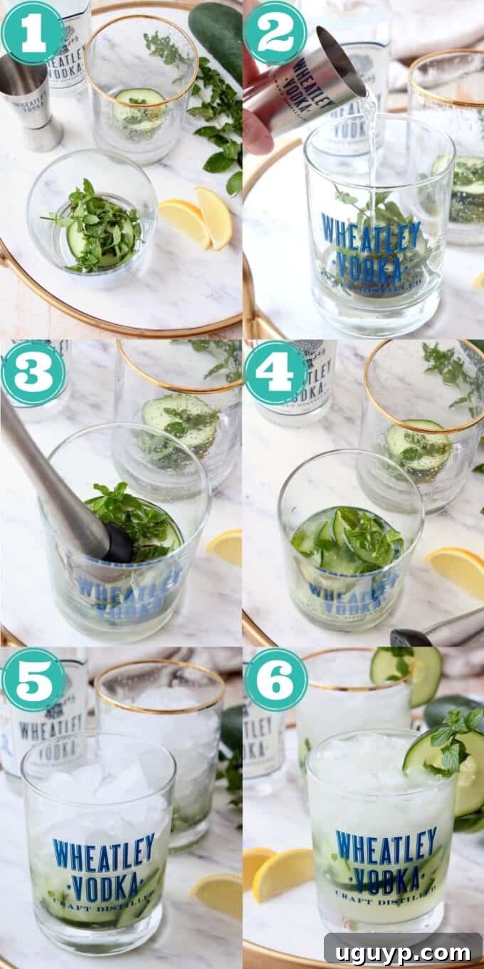 A visual guide showing the steps to prepare a Cucumber Mint Vodka Cocktail, from muddling to garnishing.