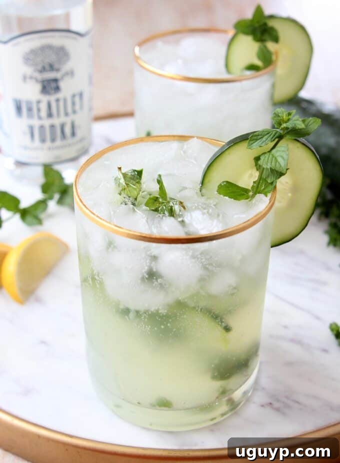Two golden-rimmed glasses filled with Cucumber Mint Vodka Cocktails, garnished with cucumber slices and mint sprigs on a serving tray.