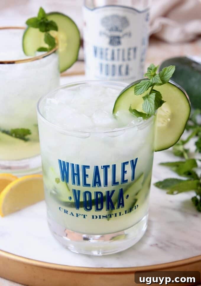 A single Cucumber Mint Vodka Cocktail in a glass with a cucumber slice and mint sprig on the rim, showcasing its vibrant freshness.