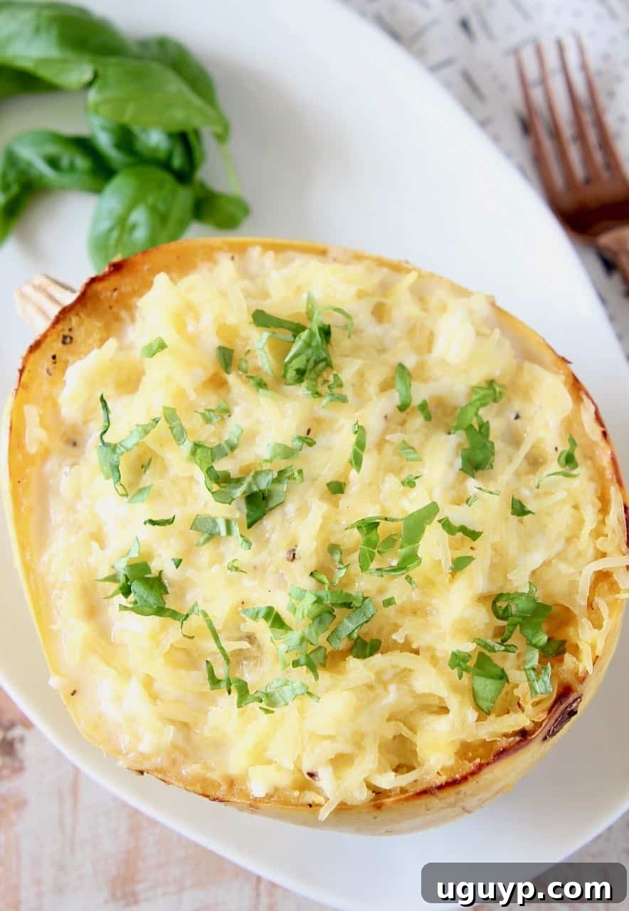 Roasted spaghetti squash tossed with white cheese sauce in the squash shell, ready to be served as a healthy meal